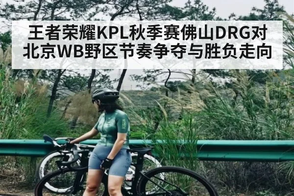 王者荣耀KPL秋季赛佛山DRG对北京WB野区节奏争夺与胜负走向 - kaiyun